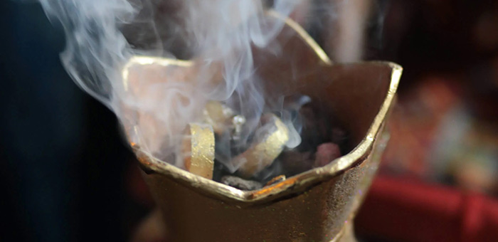 プロジェクト フランキンセンスの活動 | About US | ニールズヤード