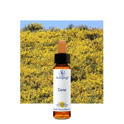 ヒーリングハーブスフラワーエッセンス | ニールズヤード レメディーズ