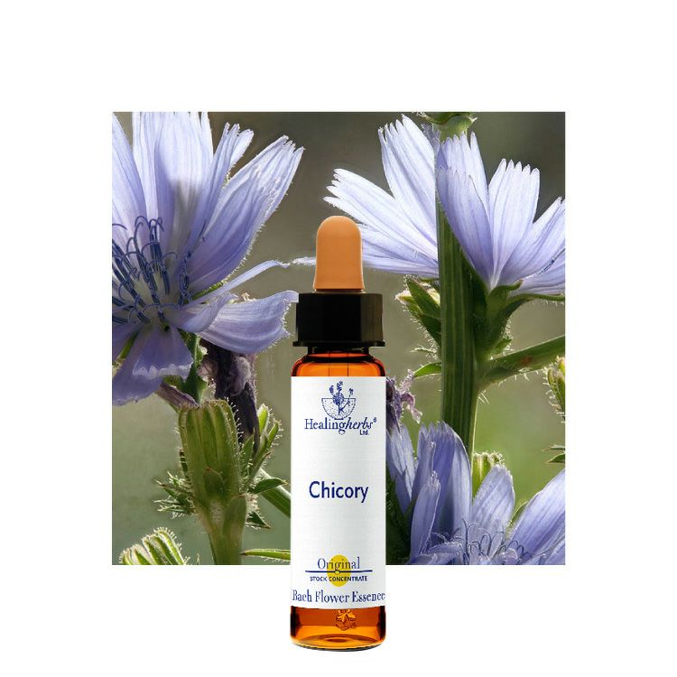 コミュニケーション | ニールズヤード レメディーズ 公式オンライン