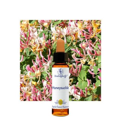 ファイブフラワーレメディ | ニールズヤード レメディーズ 公式